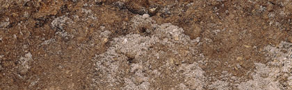 土壌イメージ